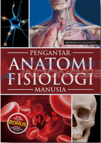 Image of Pengantar Anatomi Fisiologi Manusia